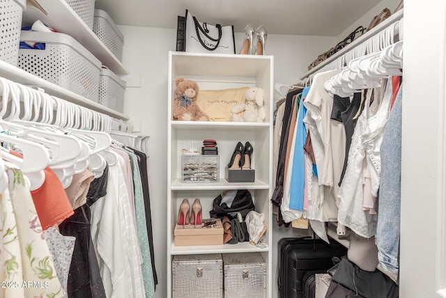 view of spacious closet