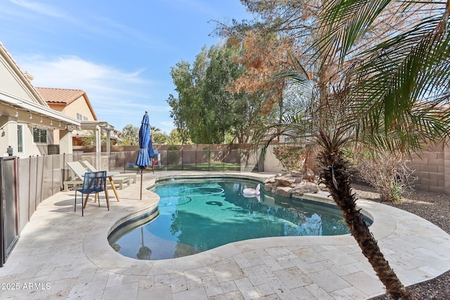 view of swimming pool featuring a patio