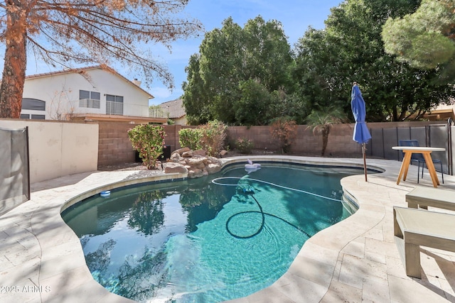 view of pool featuring a patio area