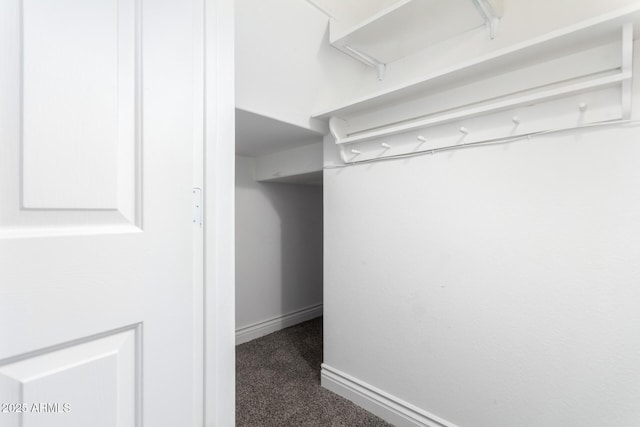 walk in closet with carpet