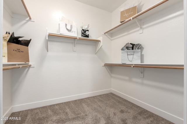 955 E Knox Rd Unit 126, Chandler, AZ 85225 - spacious closet featuring carpet floors