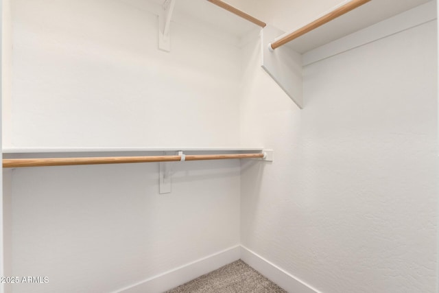 955 E Knox Rd Unit 126, Chandler, AZ 85225 - walk in closet with carpet flooring