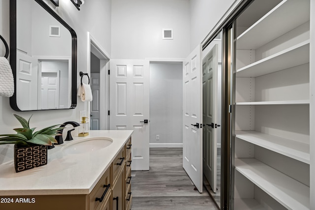 bathroom featuring hardwood / wood-style flooring and vanity