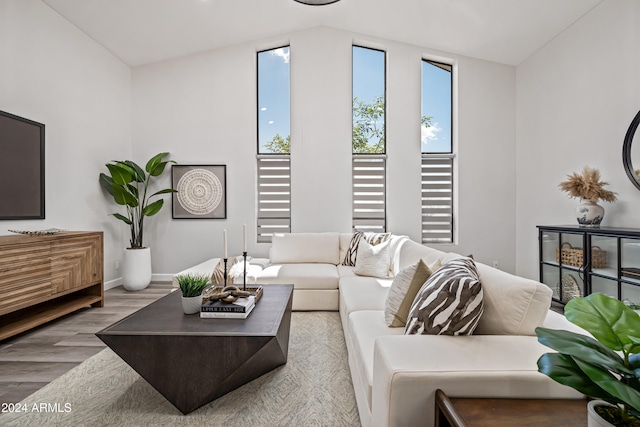 living room with hardwood / wood-style floors and lofted ceiling