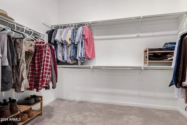 17966 W Highland Ave, Goodyear, AZ 85395 - walk in closet with carpet floors