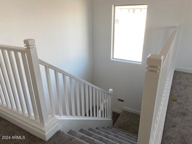 stairway featuring carpet floors