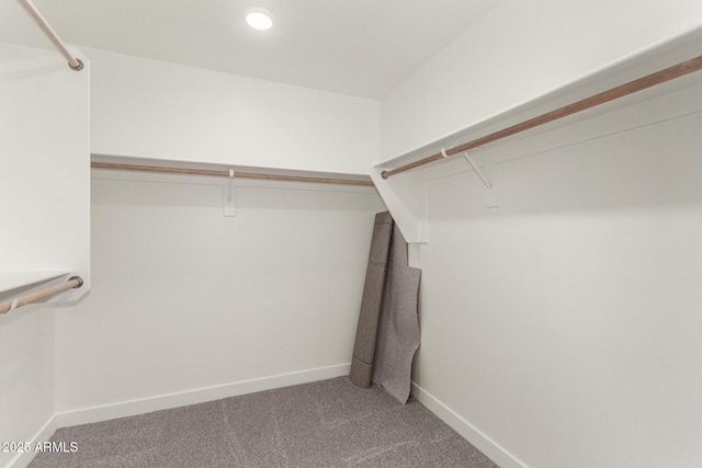 spacious closet featuring carpet floors