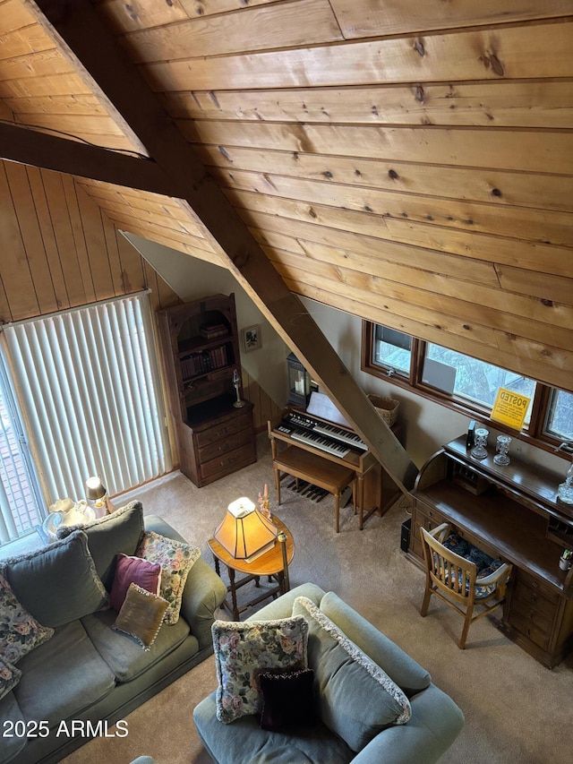 3994 N Mohawk St, Pine, AZ 85544 - living area featuring carpet flooring, wood ceiling, and wood walls