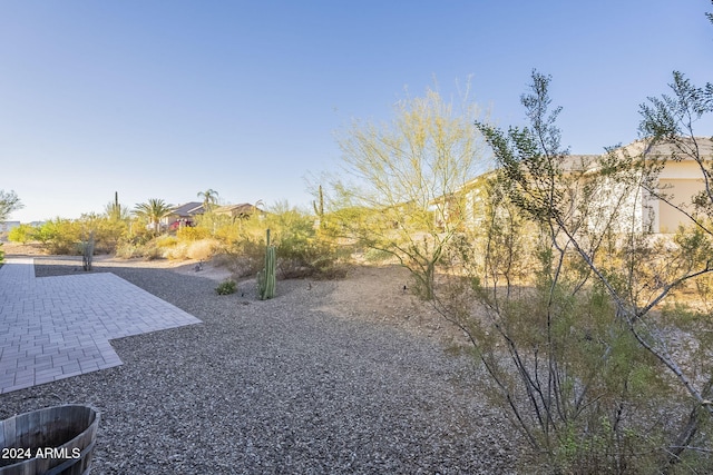 view of yard with a patio area