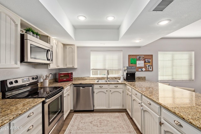 kitchen featuring a sink, a tray ceiling, plenty of natural light, and stainless steel appliances