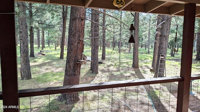 702 Mule Springs Trl, Forest Lakes, AZ 85931 - view of yard