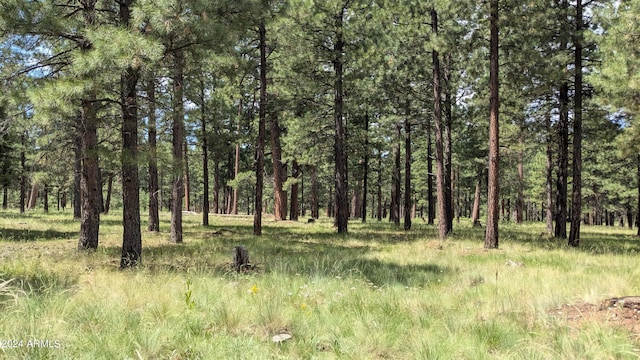 702 Mule Springs Trl, Forest Lakes, AZ 85931 - view of tree filled area