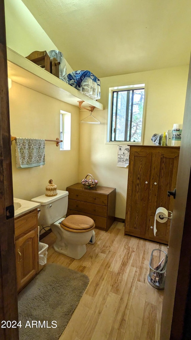 702 Mule Springs Trl, Forest Lakes, AZ 85931 - half bath featuring wood finished floors, toilet, and vanity