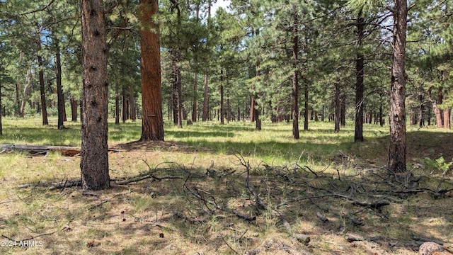 702 Mule Springs Trl, Forest Lakes, AZ 85931 - view of woods