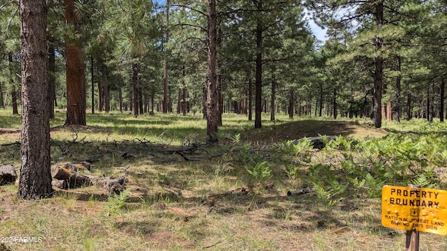702 Mule Springs Trl, Forest Lakes, AZ 85931 - view of tree filled area