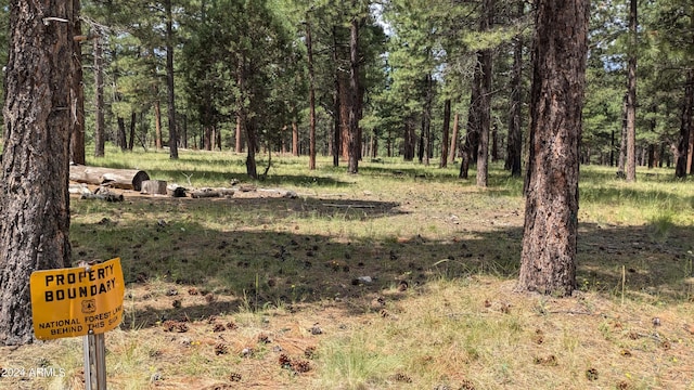 702 Mule Springs Trl, Forest Lakes, AZ 85931 - view of tree filled area