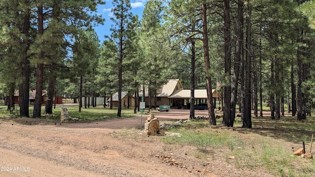 702 Mule Springs Trl, Forest Lakes, AZ 85931 - view of property's community with dirt driveway
