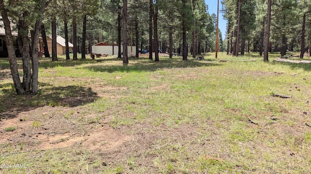 702 Mule Springs Trl, Forest Lakes, AZ 85931 - view of yard