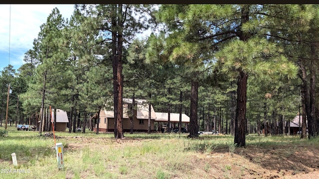 702 Mule Springs Trl, Forest Lakes, AZ 85931 - view of yard