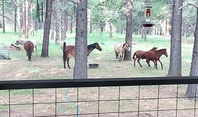 702 Mule Springs Trl, Forest Lakes, AZ 85931 - view of yard