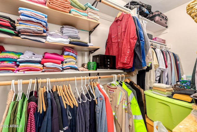 view of spacious closet