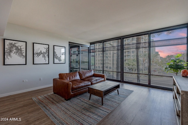 living room featuring expansive windows and dark hardwood / wood-style floors