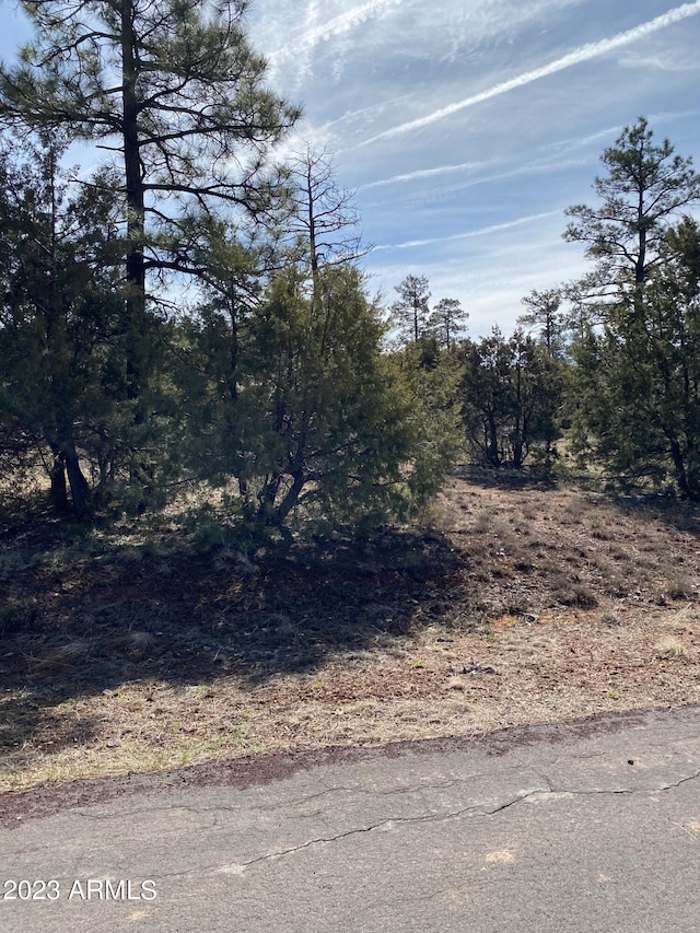 5481 Red Squirrel Ln Unit 55, Lakeside AZ, 85929 land for sale