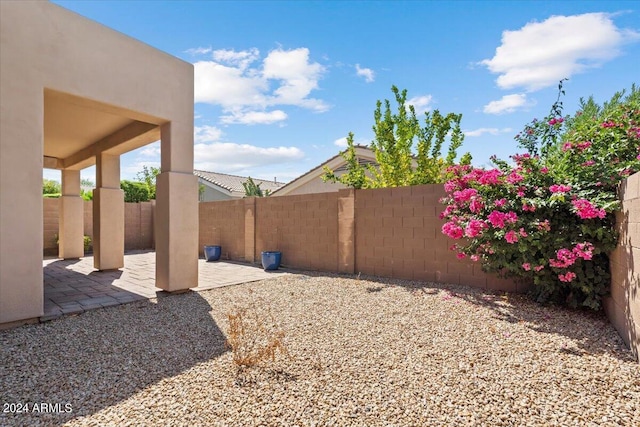 view of yard with a patio and a fenced backyard