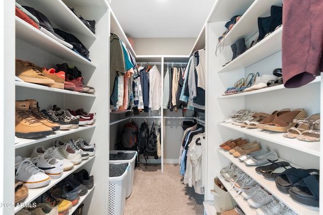 walk in closet with light carpet