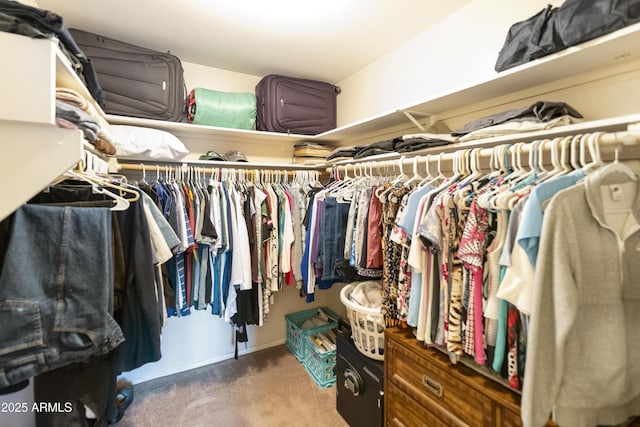 spacious closet featuring carpet