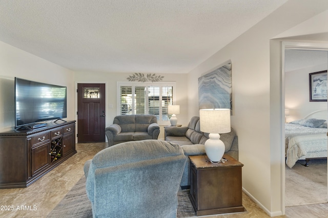 living room featuring a textured ceiling