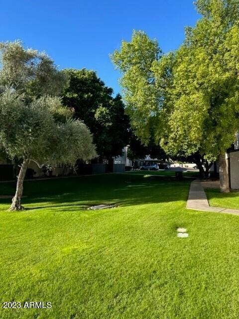 view of property's community featuring a yard