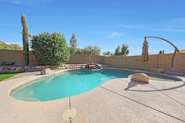 view of pool featuring a patio area