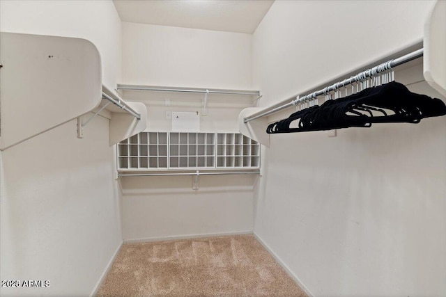 spacious closet featuring light colored carpet