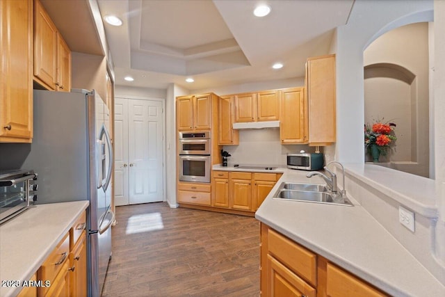 kitchen featuring light brown cabinets, sink, a tray ceiling, wood-type flooring, and stainless steel appliances