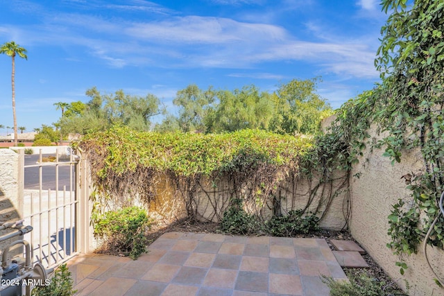 view of patio / terrace