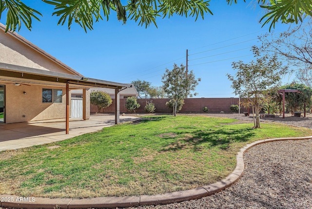 view of yard featuring a patio