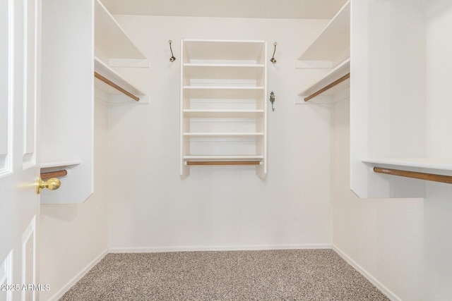 spacious closet with carpet flooring