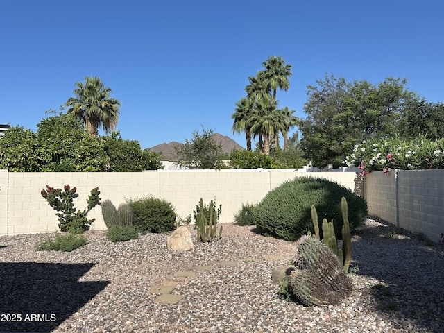 5526 N 77th Way, Scottsdale, AZ 85250 - view of fenced backyard