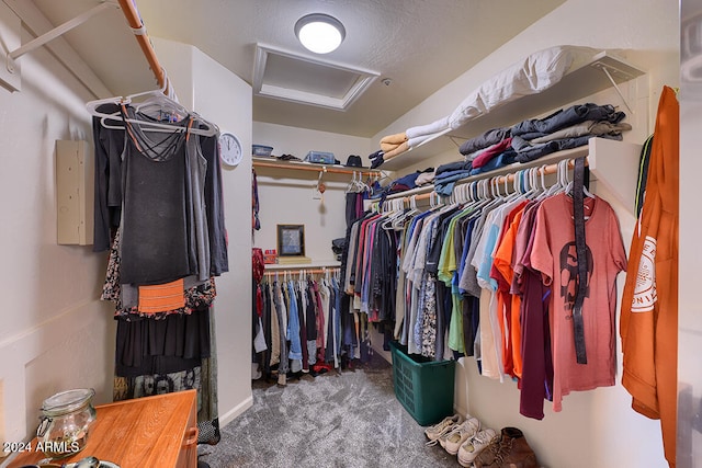 walk in closet featuring carpet