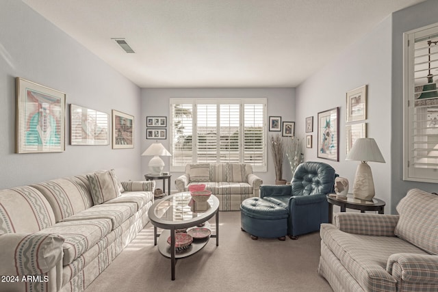 living room with carpet and a textured ceiling