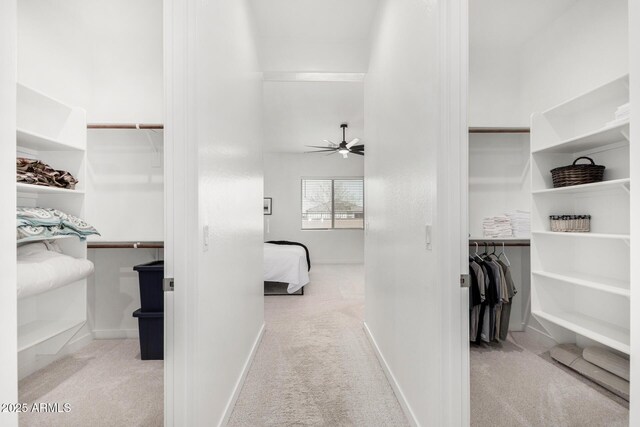 3089 N 200th Ave, Buckeye, AZ 85396 - walk in closet featuring carpet and a ceiling fan