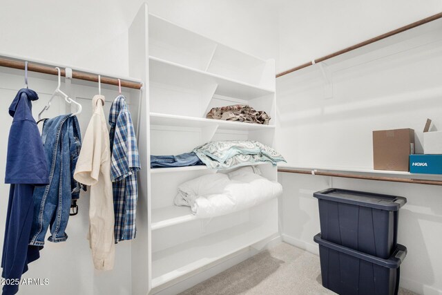 3089 N 200th Ave, Buckeye, AZ 85396 - spacious closet with carpet flooring