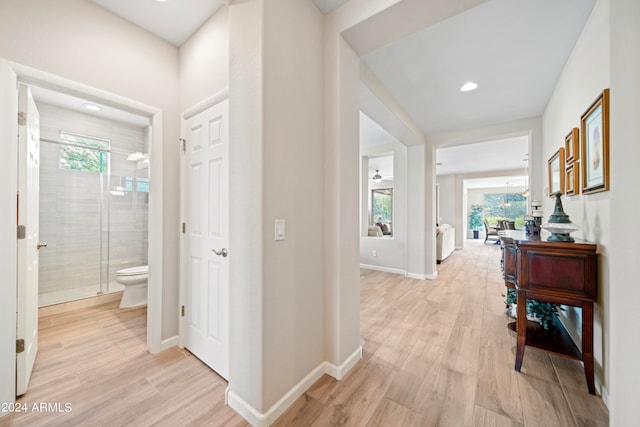 hallway featuring light wood-type flooring and a healthy amount of sunlight