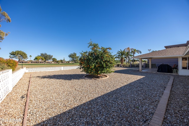 view of yard featuring a patio area