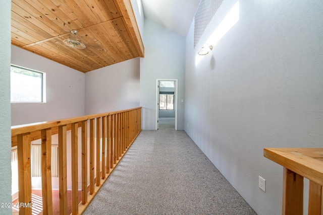 hall featuring high vaulted ceiling, wooden ceiling, carpet flooring, and a textured wall