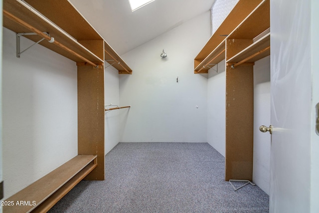 spacious closet with carpet floors