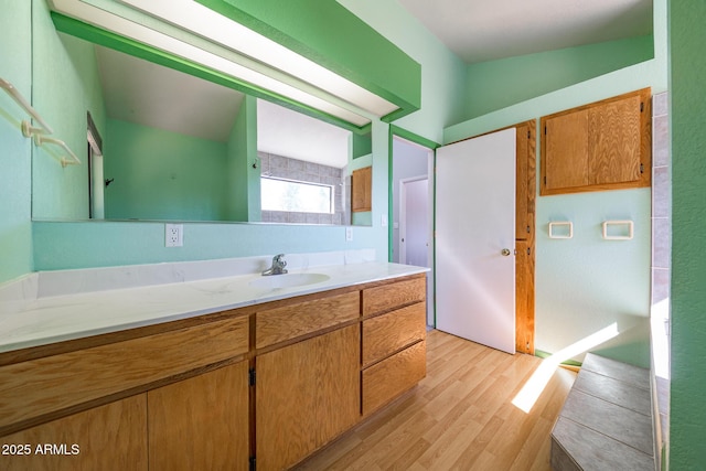 bathroom featuring wood finished floors and vanity