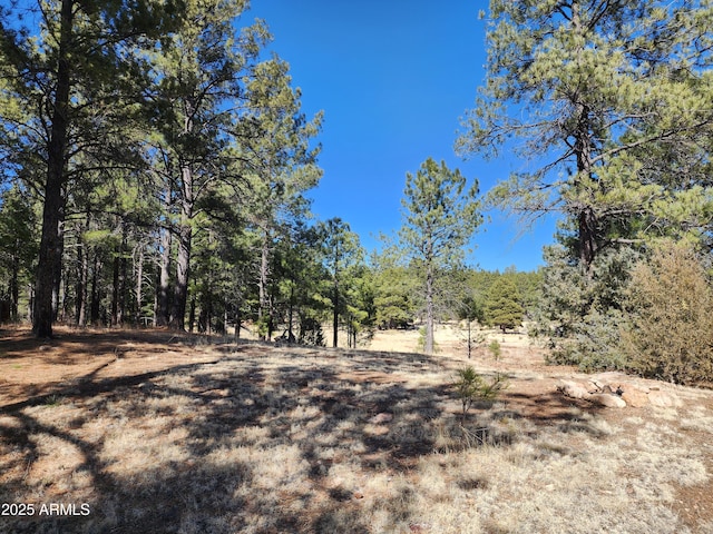 view of local wilderness with a wooded view