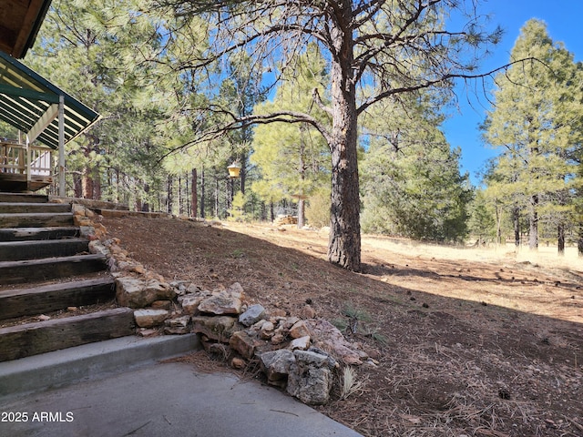 view of yard with stairway